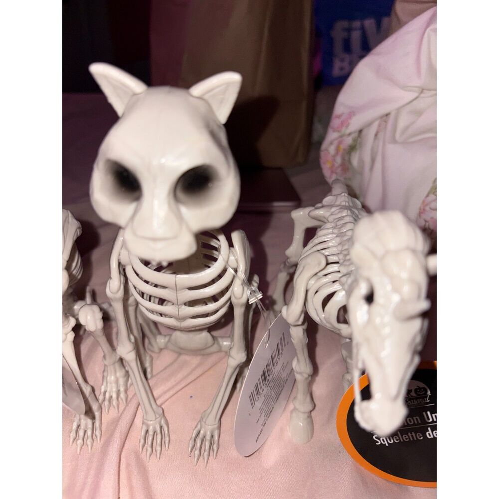 Seasonal Collection Animal Skeleton Halloween Decorations Set of 3